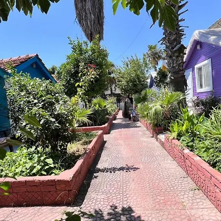 Kuba Проживание в семье *